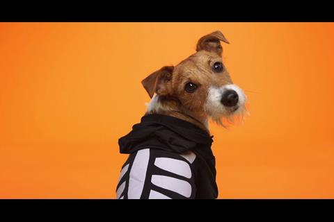 Sainsbury’s has expanded the costume offer in its Tu clothing range with costumes for all the family as well as a skeleton-patterned dog costume
